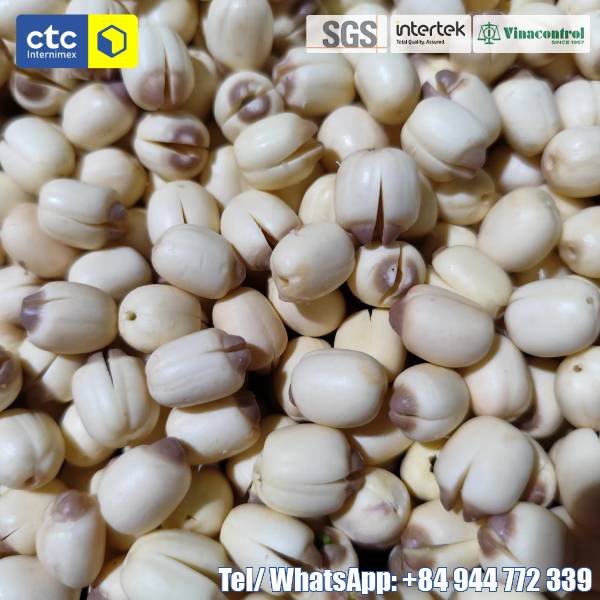 Vietnamese Dried White Lotus Seeds