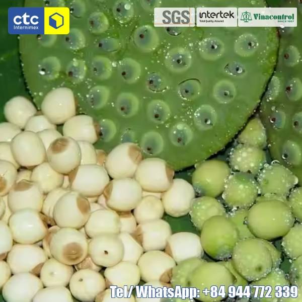 Vietnamese Dried White Lotus Seeds