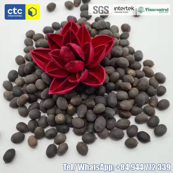 Dried Black Lotus Seeds