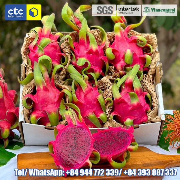 Red Dragon Fruit