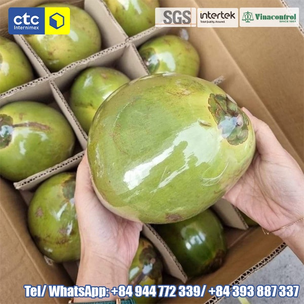 Siamese Coconut