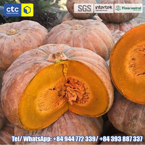Fresh Pumpkin
