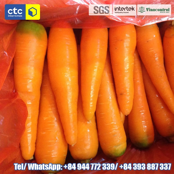 Fresh Carrot