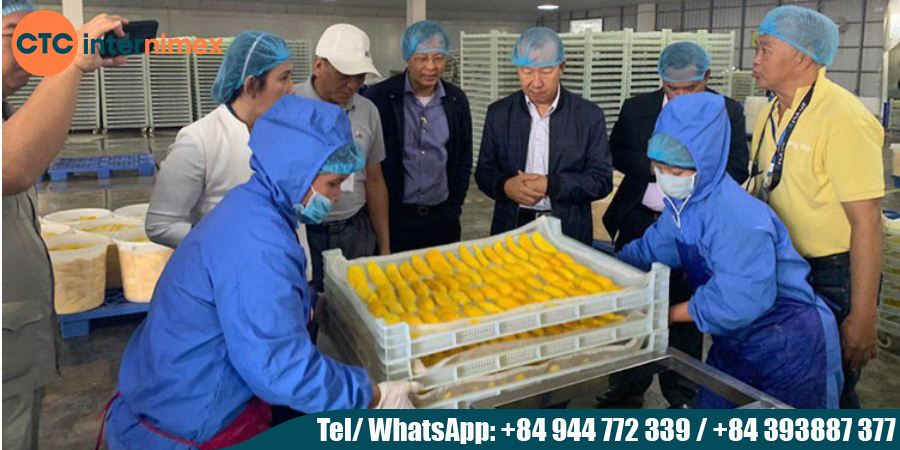 Vietnam-Soft-Dried-Mango_mango Viet Nam (1).jpg