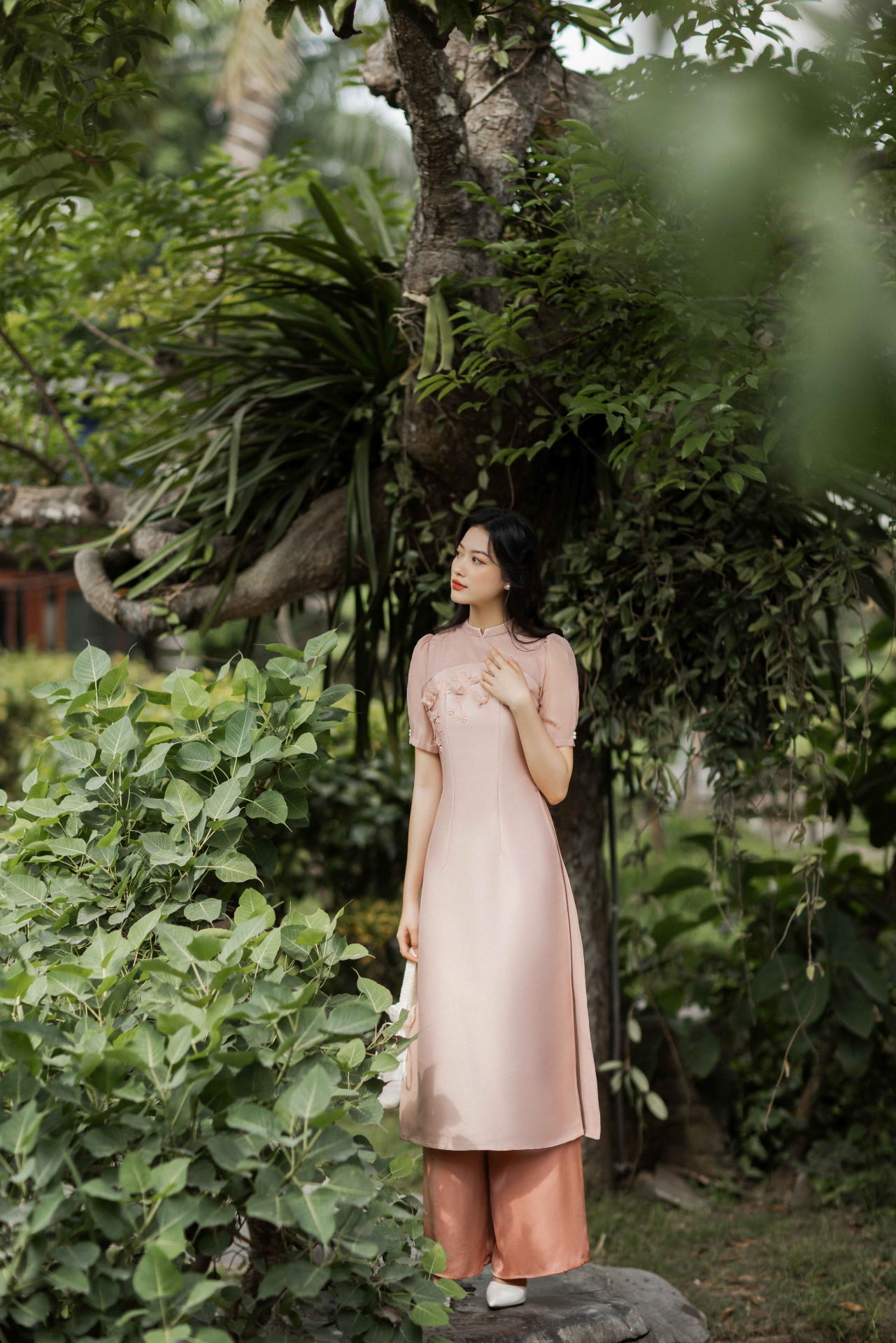 Hồng