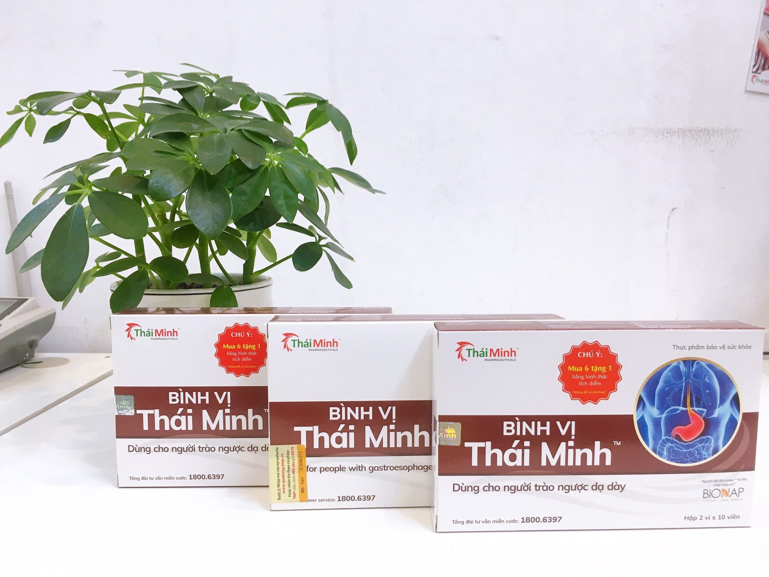 Bình Vị Thái Minh (hộp 20 viên)