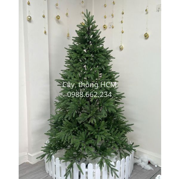 cay-thong-full-pe-nr.jpg