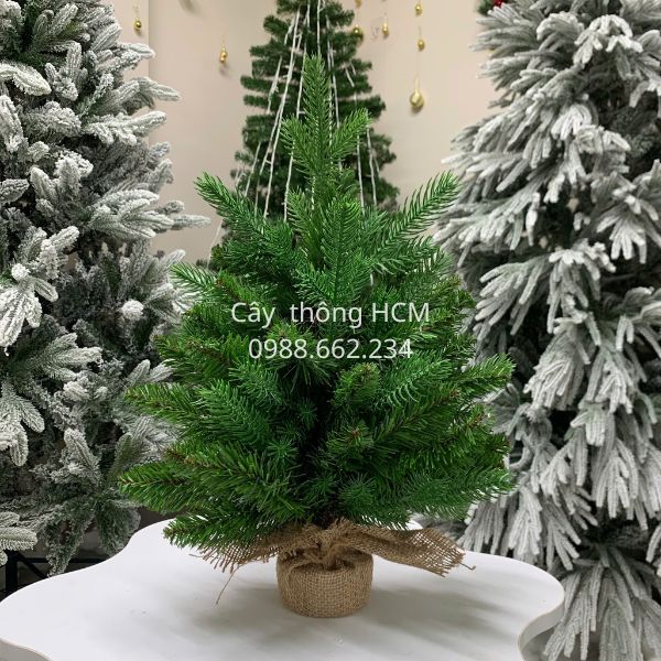 cay-thong-pe-pvc-mau-xanh.jpg