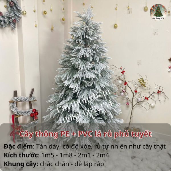 cay-thong-pe-pvc-la-ru-phu-tuyet.jpg
