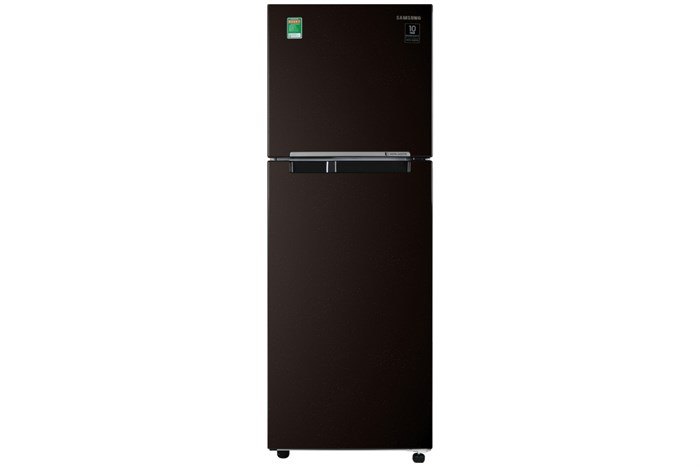 Tủ Lạnh Samsung RT22M4032BY 236L