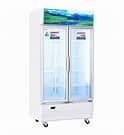Tủ mát Sanaky Inverter 700 lít VH-8009HP3