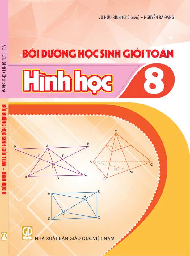 Bồi dưỡng học sinh giỏi Toán lớp 8 - Hình học