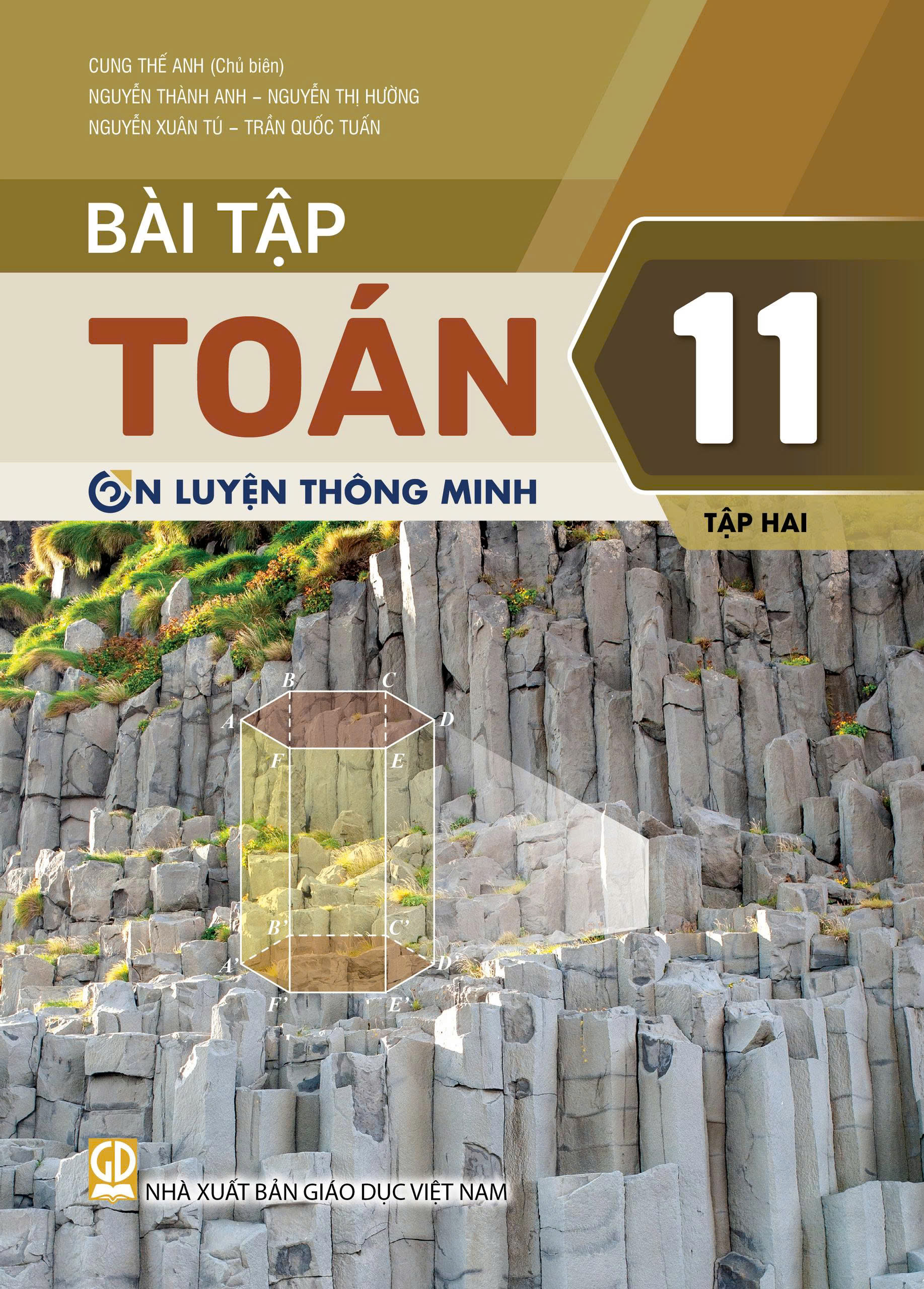 Bài tập Toán Lớp 11 tập 2 (OLTM)