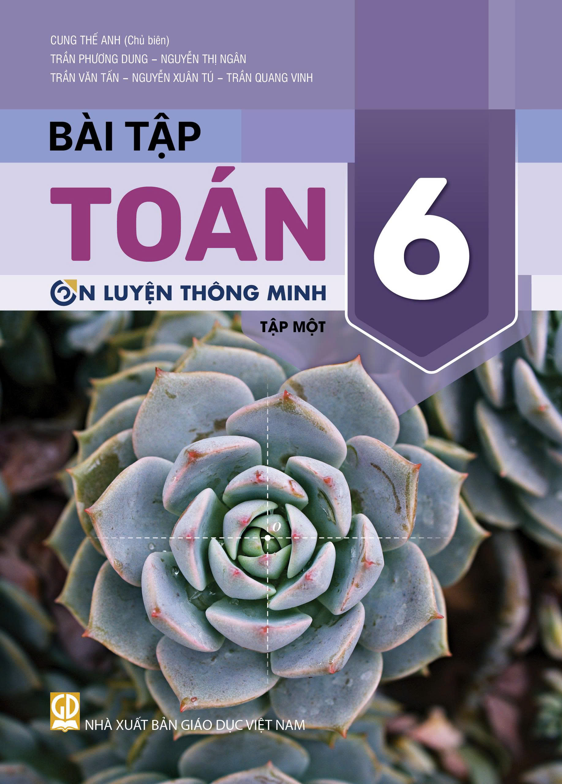Bài tập Toán lớp 6 tập 1 (OLTM)