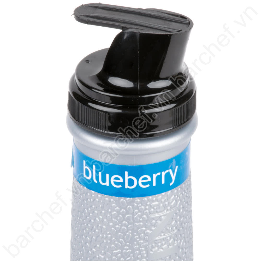 Mứt sệt vị Việt Quất Monin (Blueberry puree) - chai 1L