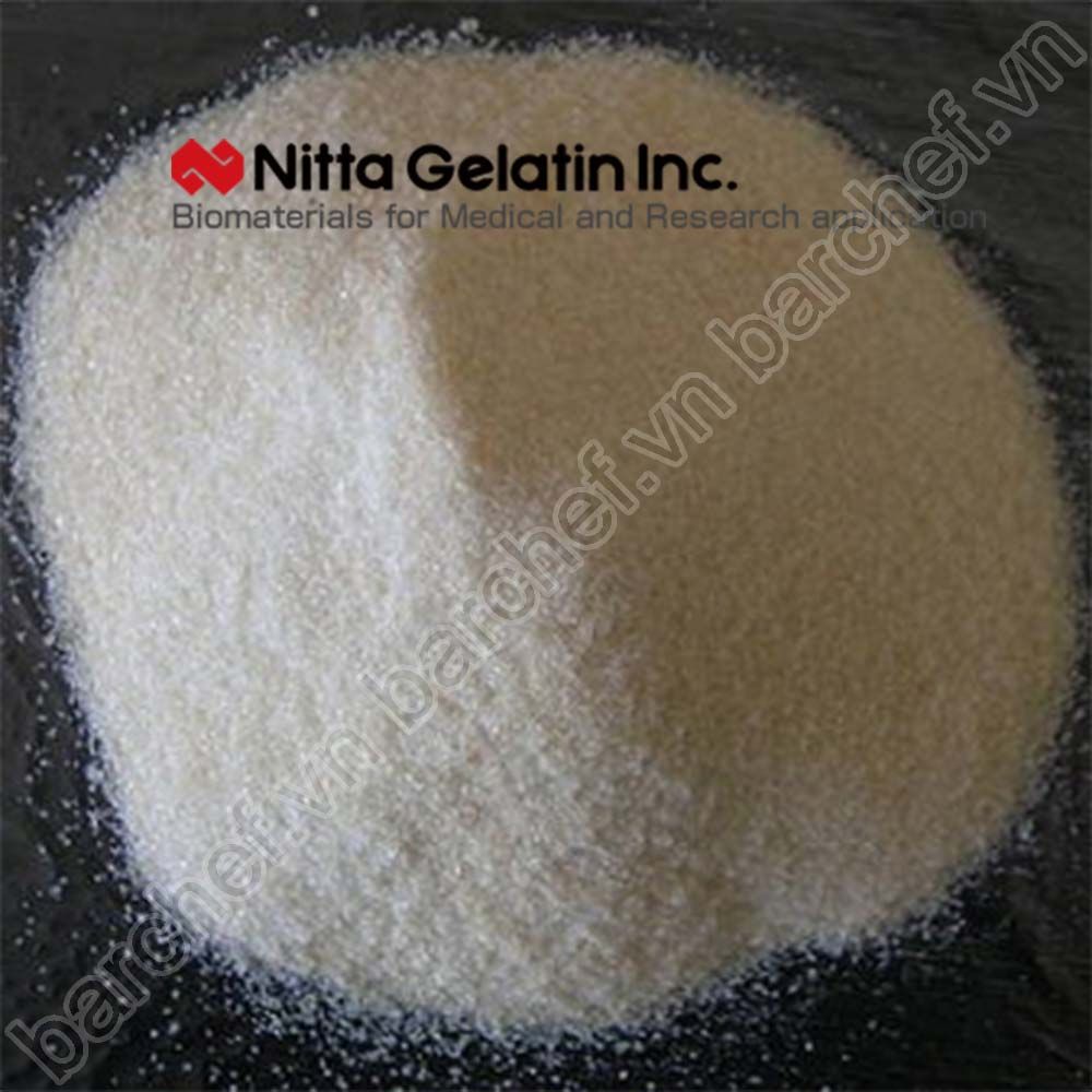 Bột Gelatin Nitta Canada (250 bloom) - túi 1kg