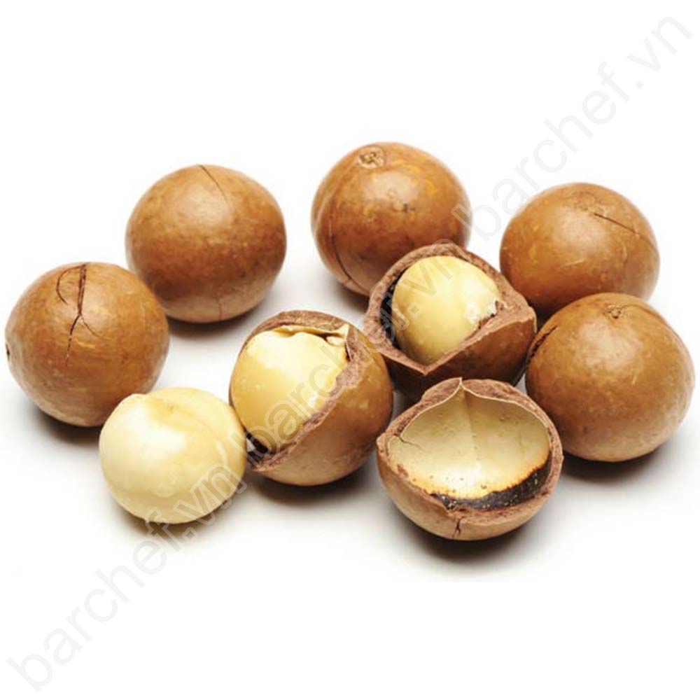 Quả Macadamia Úc khô Atlas - túi 500g (Growers choice Macadamia Kernel)