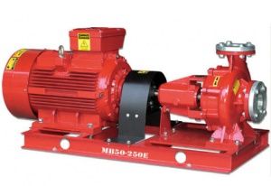 Máy bơm trục ngang TECO MB50-250E