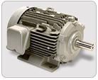 Motor điện 3 pha 10 HP TFO-KK-4P