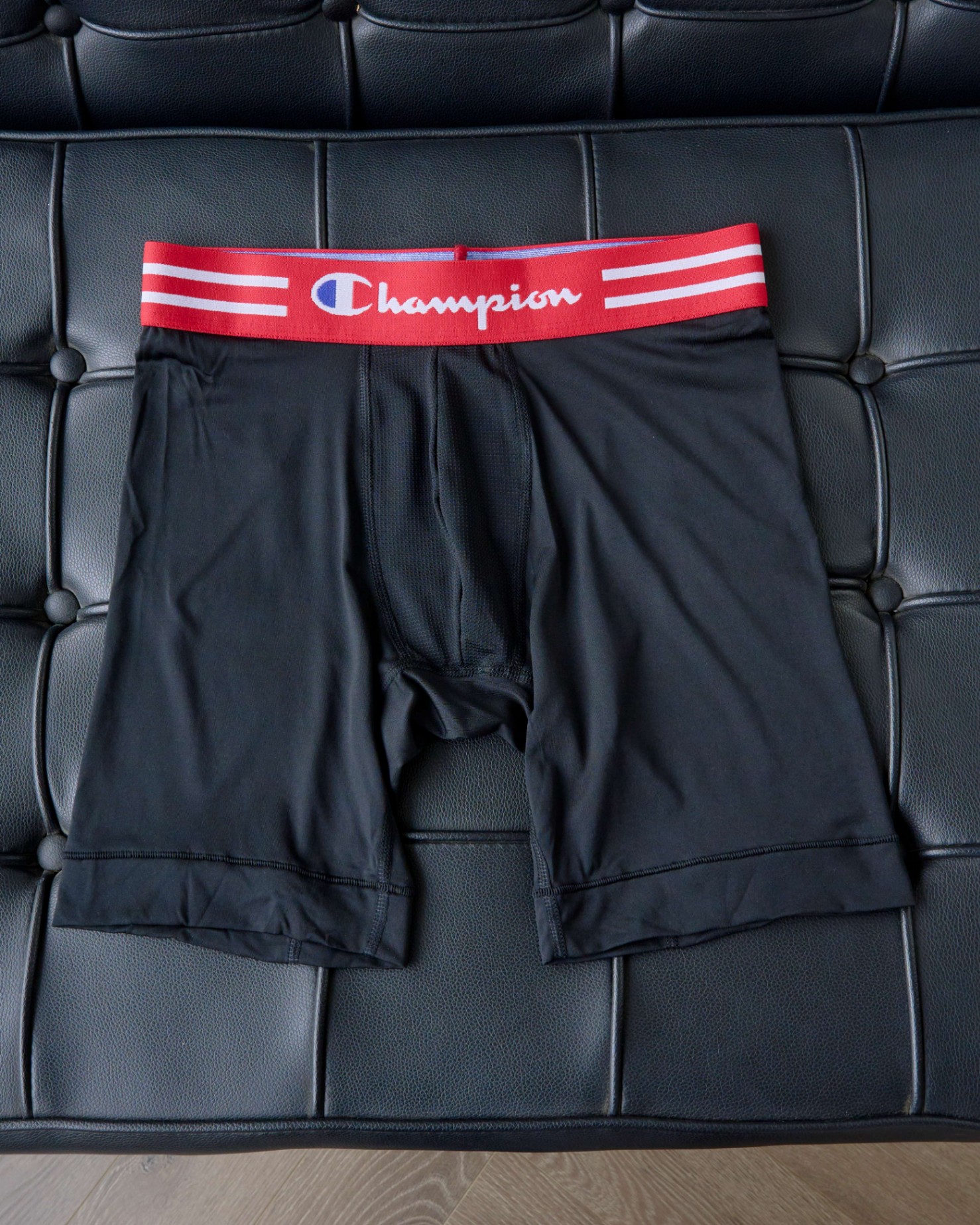 BOXER CHAMPIO