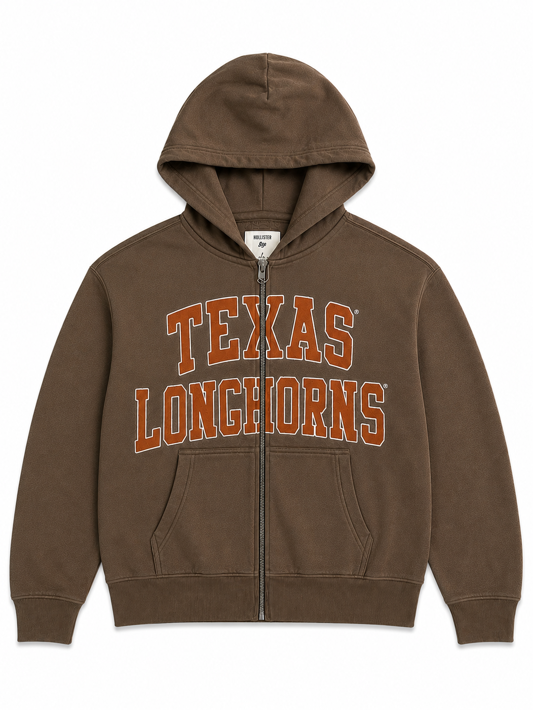 HOLLIS BIG PRINT TEXAS FLEECE FULL ZIP HOODIE