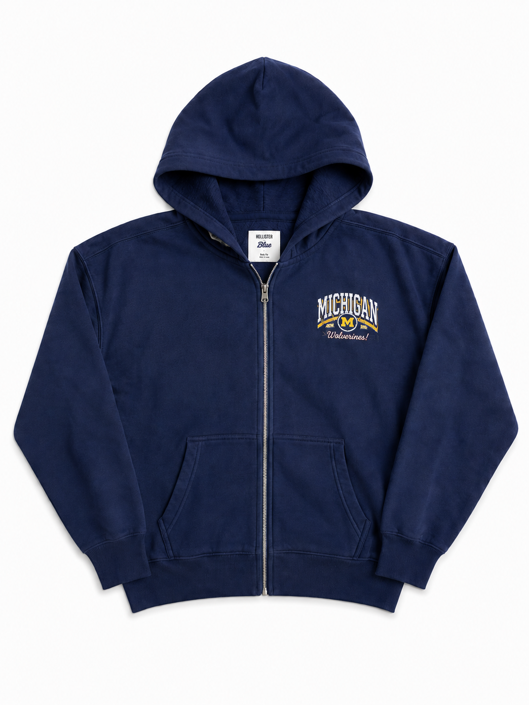 HOLLIS MICHIGAN LIONS FLEECE FULL ZIP HOODIE