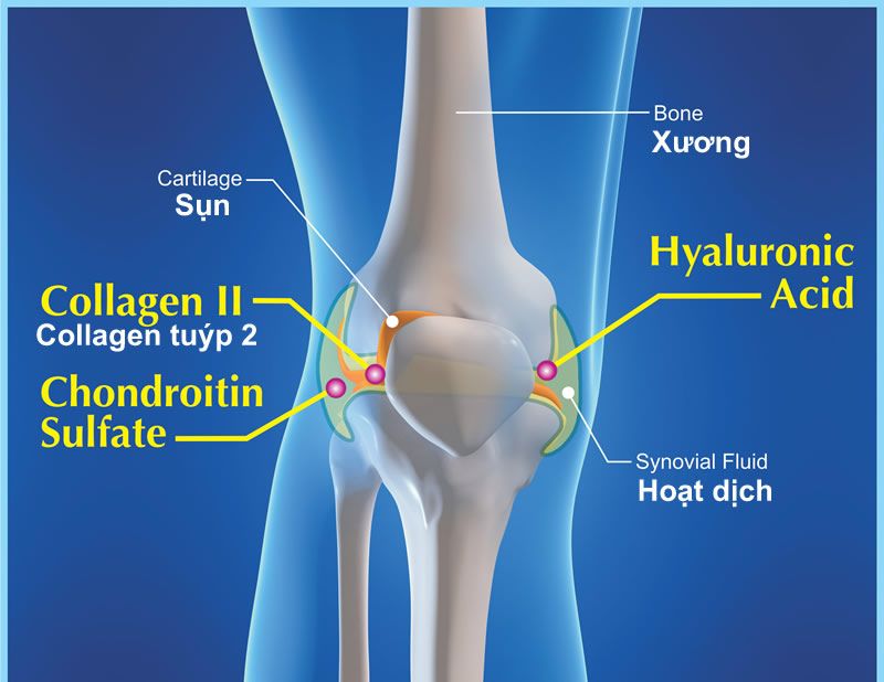 Tất tần tật về xương khớp
