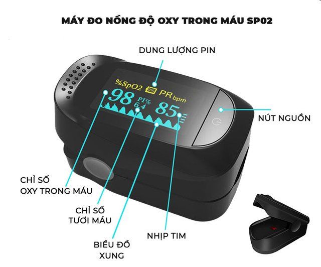 máy đo nồng độ oxy 2