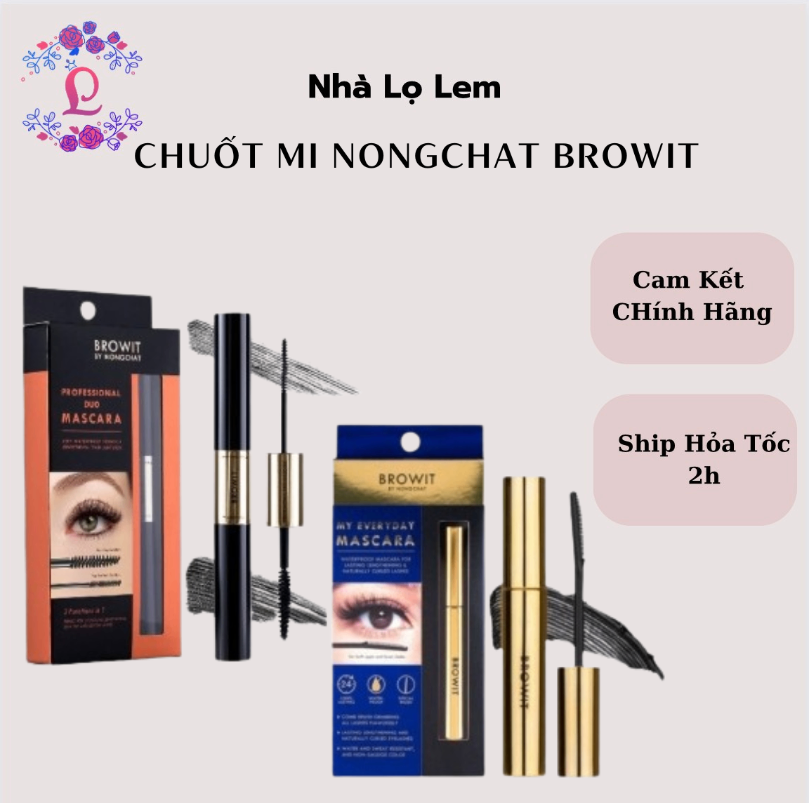 CHUỐT MI NONGCHAT BROWIT