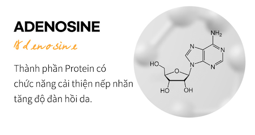 Adenosine