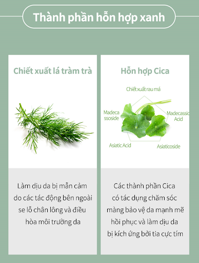 Chiết xuất tràm trà