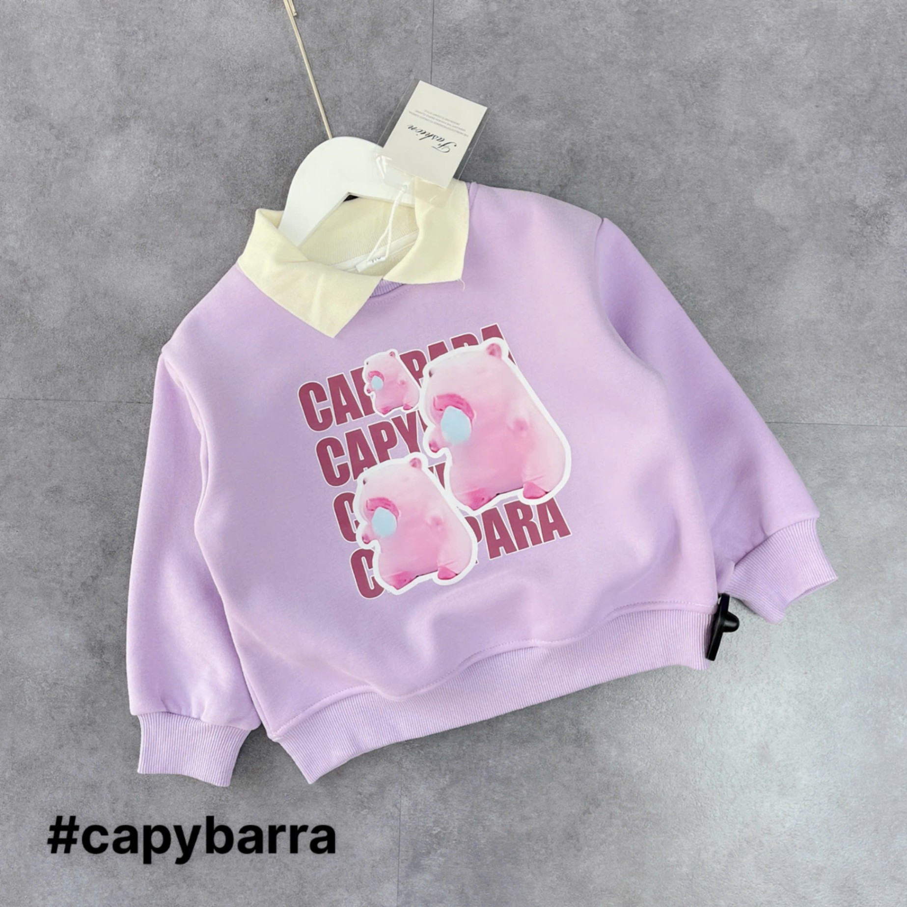 A2810-Áo nỉ lót lông Cappyparra