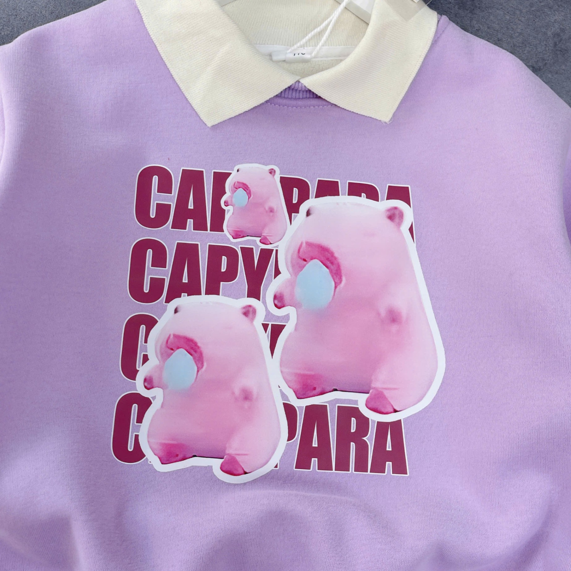 A2810-Áo nỉ lót lông Cappyparra
