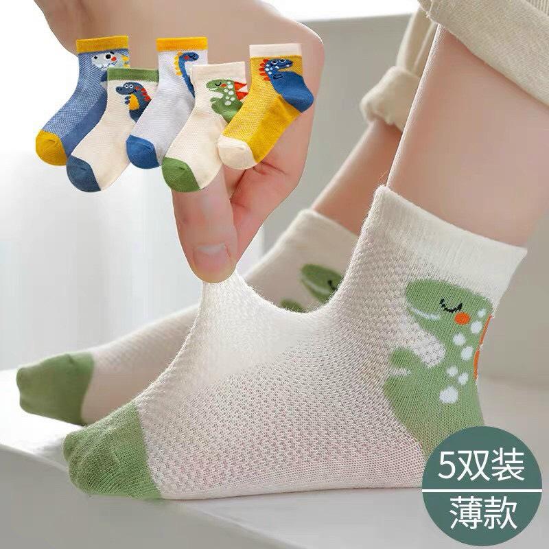 SET 5 TẤT LƯỚI KHỦNG LONG