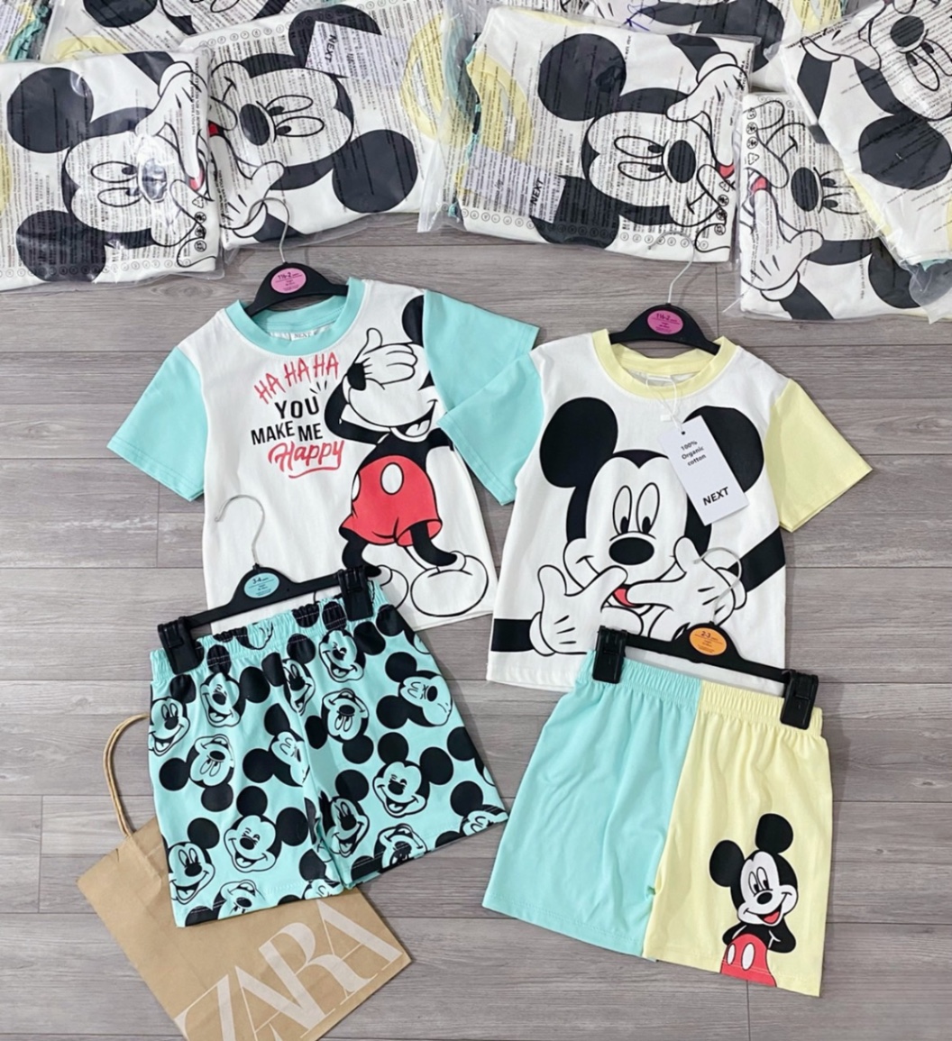 SET 2 BỘ ĐÙI MICKY CHÓ XANH VÀNG BT