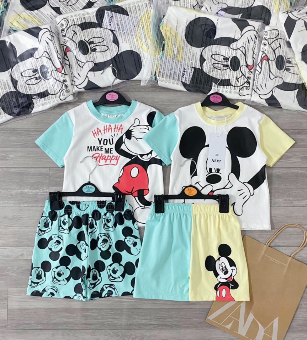 SET 2 BỘ ĐÙI MICKY CHÓ XANH VÀNG BT