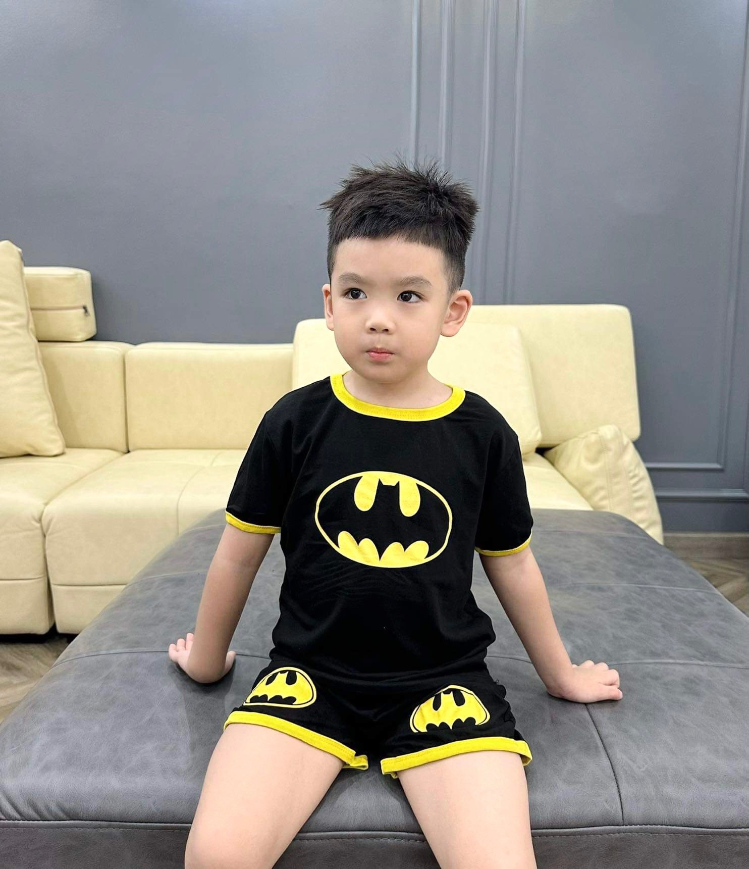 SET 2 BỘ ĐÙI HÌNH SIÊU NHÂN BATMAN