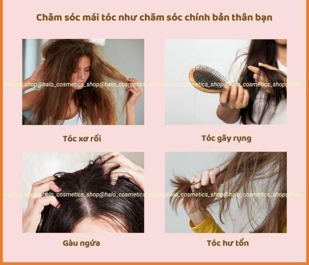 XA KHO CẶP DẦU GỘI XẢ N5 GIÁ TỐT