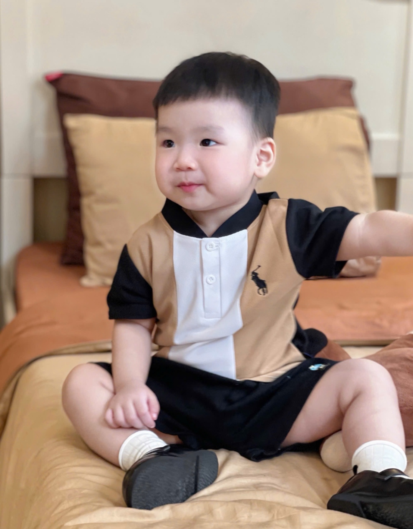 SET 2 ÁO POLO THÊU NGỰA PHỐI MÀU BT