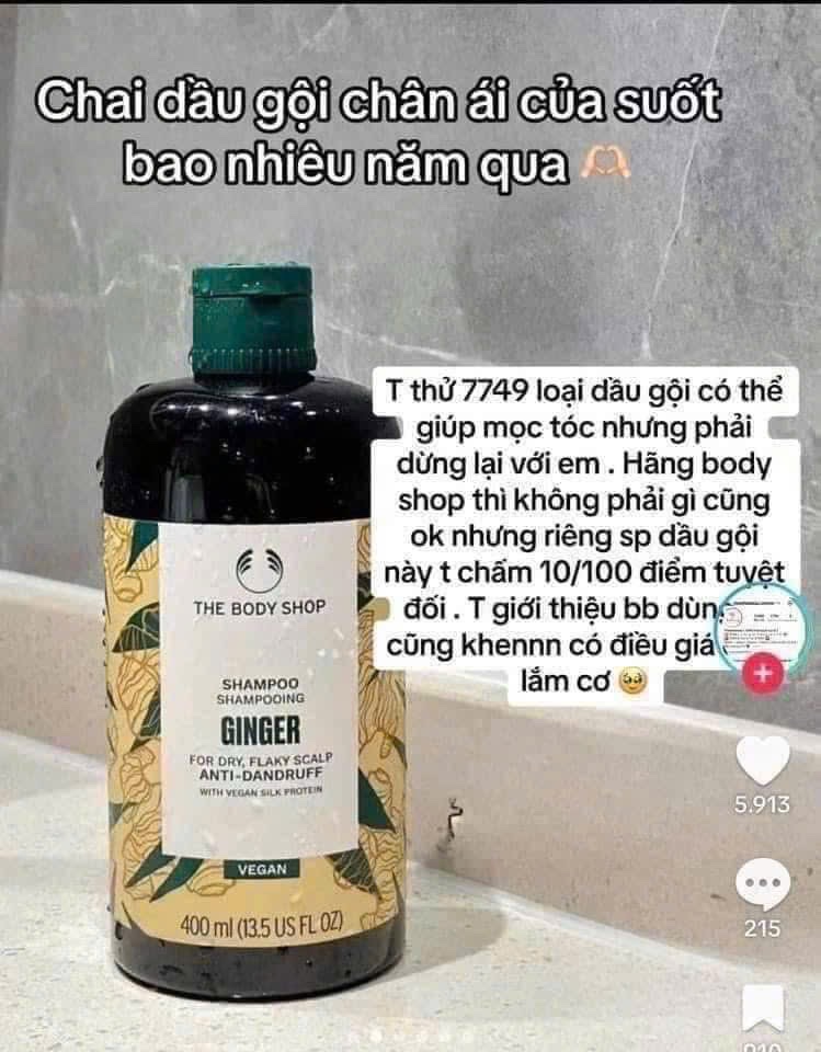 DẦU GỘI GỪNG THE BODY SHOP - bao auhtp