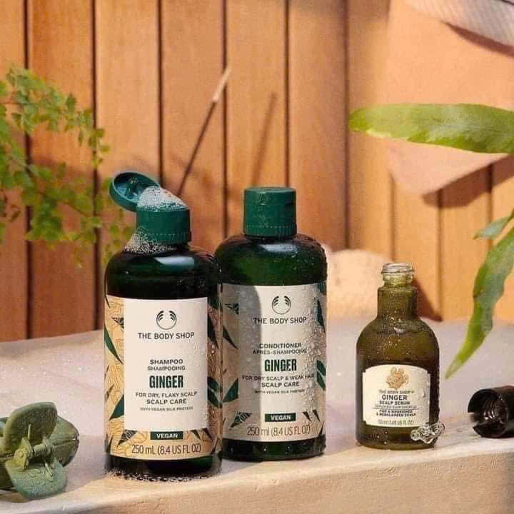 DẦU GỘI GỪNG THE BODY SHOP - bao auhtp