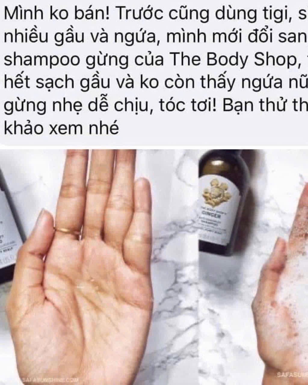 DẦU GỘI GỪNG THE BODY SHOP - bao auhtp