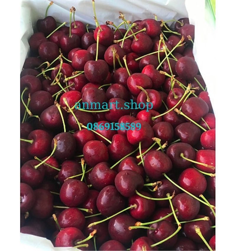 Cherry đỏ New Zealand của Úc- Anmart