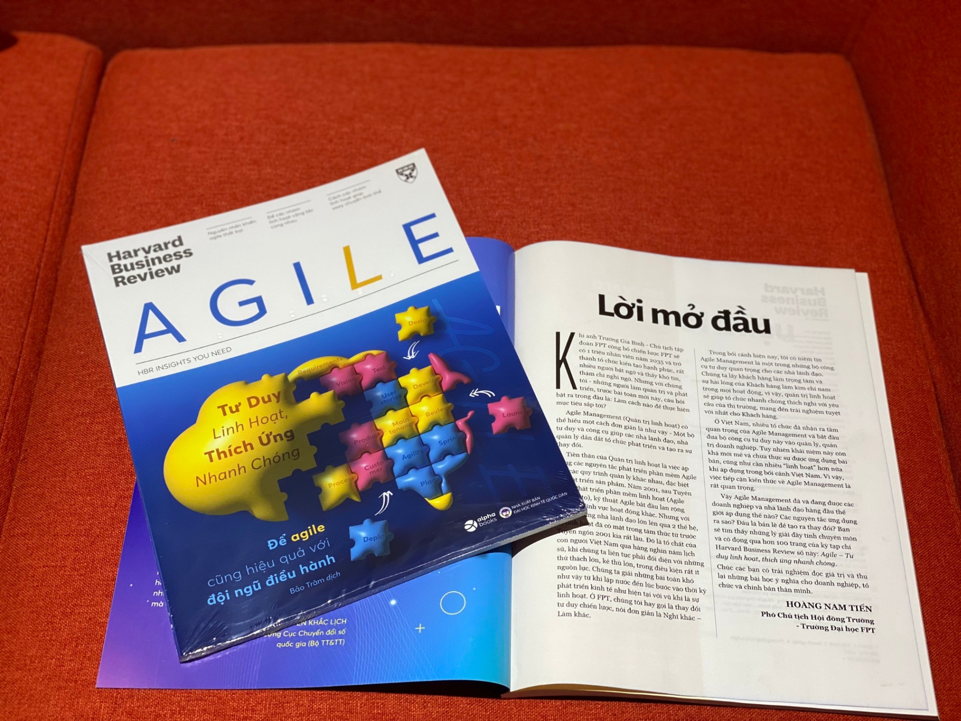 HBR Agile - Tư Duy Linh Hoạt, Thích Ứng Nhanh Chóng - Để Agile cũng hiệu quả với