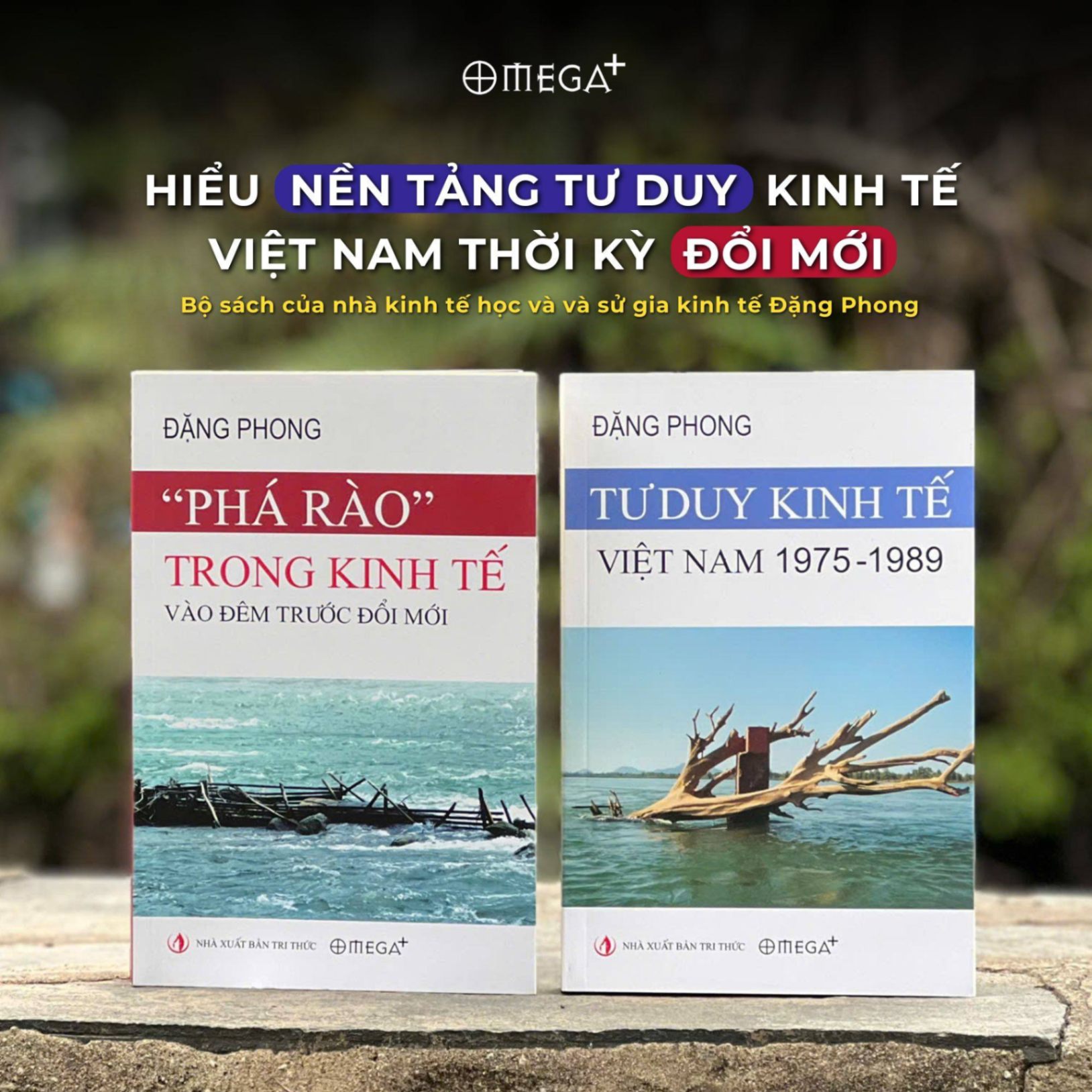 Bộ sách Kinh Tế Việt Nam: Những Bước Chuyển Lặng Lẽ (Tác giả Đặng Phong)