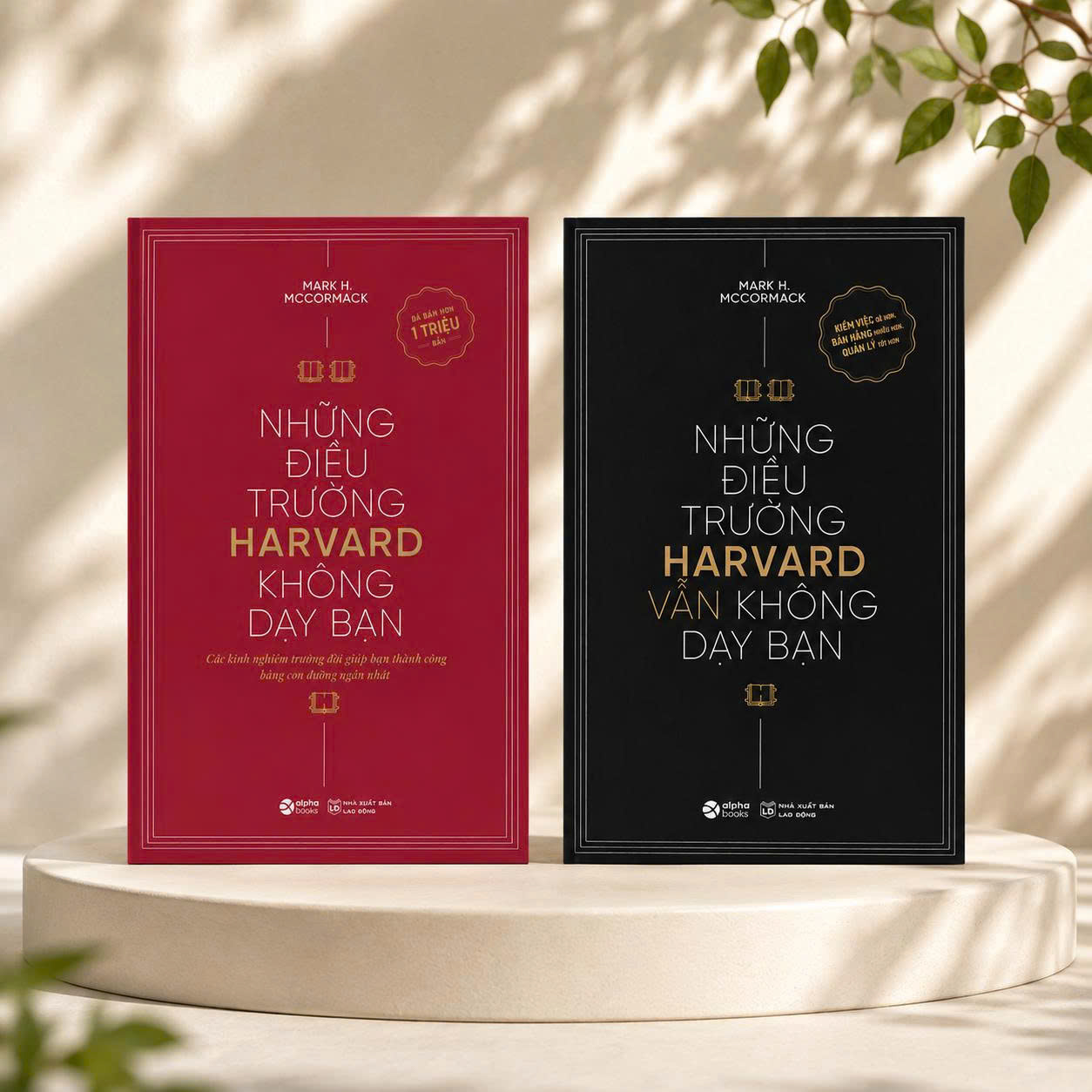 Combo 2 Cuốn Những Điều Trường Harvard Không Dạy Bạn + Những Điều Trường Harvard Vẫn Không Dạy Bạn