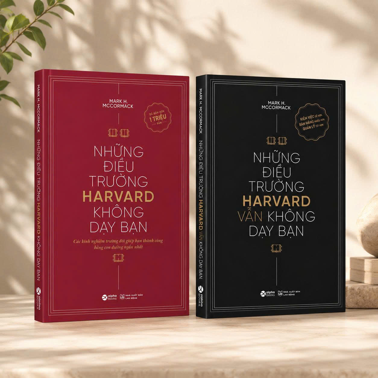 Combo 2 Cuốn: Những Điều Trường Harvard Không Dạy Bạn + Những Điều Trường Harvard Vẫn Không Dạy Bạn