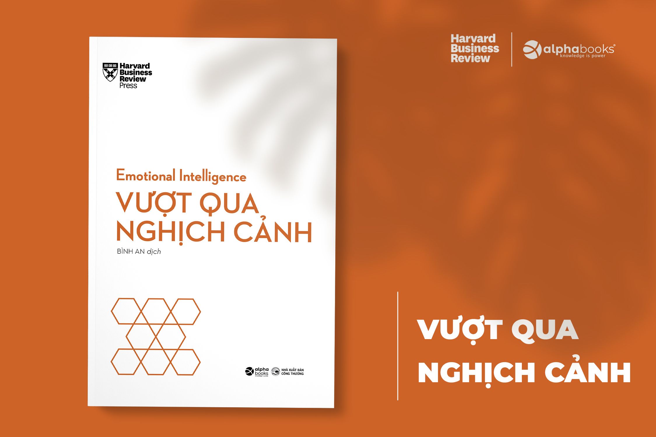 Boxset_HBR_Emotion_Intelligence__Bo_10_cuon__(vuot_qua_nghich_canh).jpg