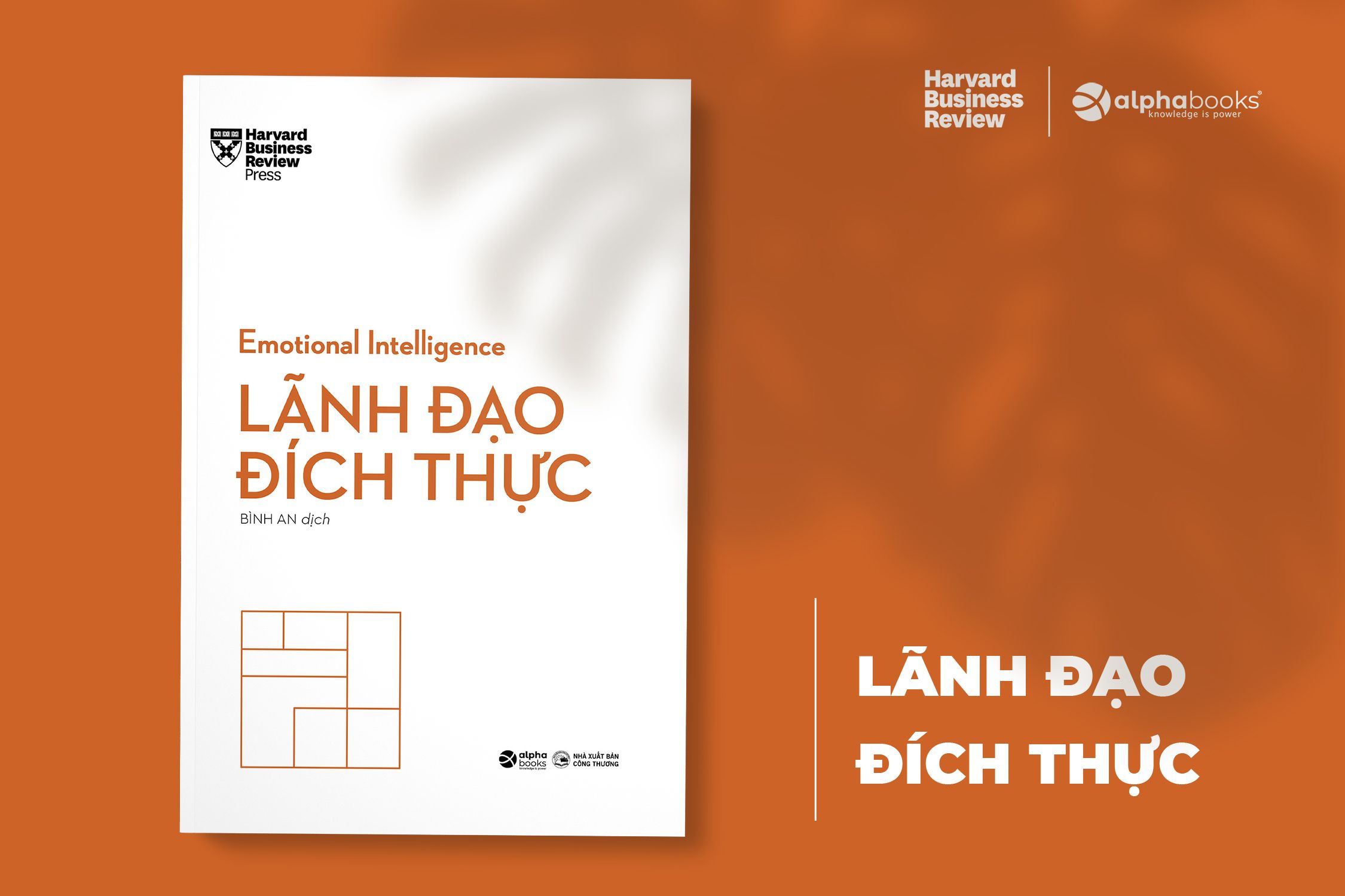 Boxset_HBR_Emotion_Intelligence__Bo_10_cuon__(lanh_dao_dich_thuc).jpg