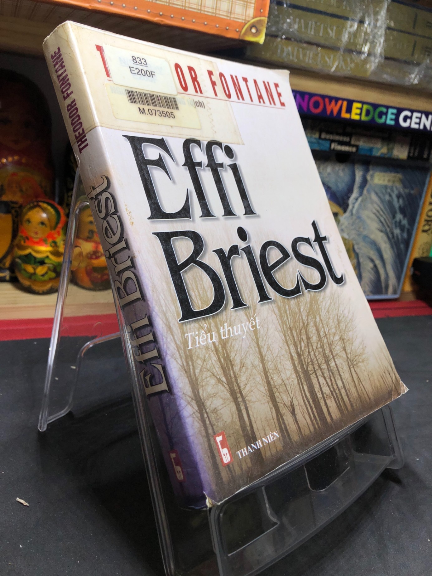 Effi Briest 2006 mới 70% ố bẩn nhẹ Theodoor Fontane HPB0906 SÁCH VĂN HỌC (NSX)